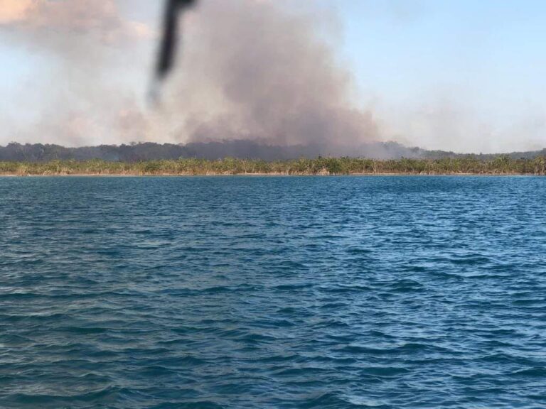 Autoridades callan ante devastador incendio en Xul-Ha, al sur de Quintana Roo Autoridades callan ante devastador incendio en Xul-Ha, al sur de Quintana Roo