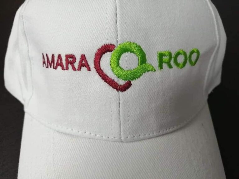 Secretario del Bienestar de Quintana Roo violó la Ley de Imagen Institucional Secretario del Bienestar de Quintana Roo violó la Ley de Imagen Institucional