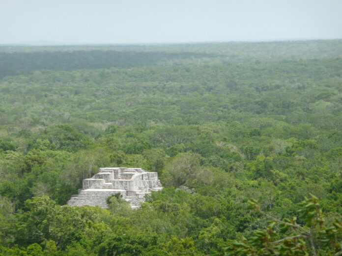 Por la defensa de la Reserva de la Biosfera de Calakmul