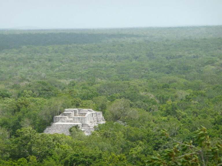 Por la defensa de la Reserva de la Biosfera de Calakmul Por la defensa de la Reserva de la Biosfera de Calakmul