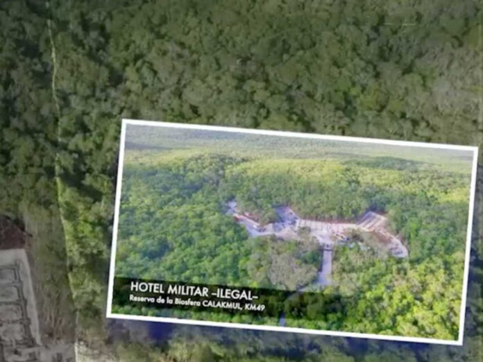 Hoteles para alojar turismo del Tren Maya arrasan con selva y se construyen sin estudios